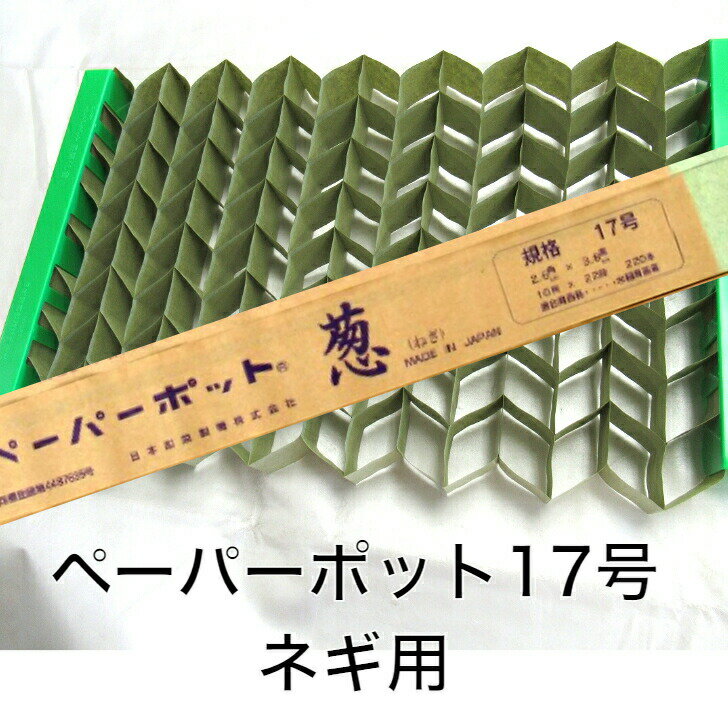 商品情報規格17号　葱用ニッテン ペーパーポット 17号 葱用 ネギ ねぎ 2.6×3.8 220穴 日本甜菜糖 育苗 高品質で均一な苗づくり 特長●紙鉢は相互に水溶性の糊で接着されており、移植時に一本一本の苗に分離します。●紙鉢は移植後、土中で分解しますのでそのまま植え付けできます。●ペーパーポットは日本甜菜製糖（株）が開発した特殊加工された紙製の作物移植用集合鉢です。●鉢には底が付いていませんが、根が張りますので土抜けしません。●水稲育苗箱対応品規格：17号1鉢寸法(cm)：2.6x3.8穴数：220用途：ネギ 11