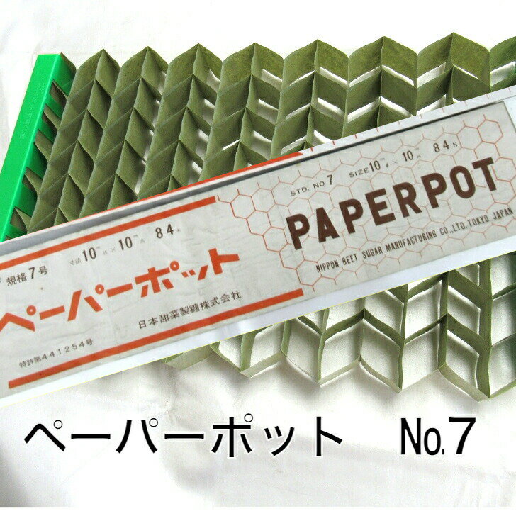 ニッテン ペーパーポット 7号 10×10 84穴 日本甜菜糖 育苗