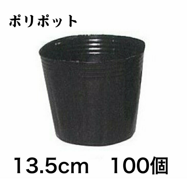 Rakuten - ポリポット 13.5cm 100個 黒丸 育苗 栽培 ポリ鉢
