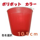 ポリポット カラー 10.5cm 100個 茶 オレンジ 赤 青 黄 白(透明) 紫 桃 ベージュ うぐいす 緑 丸ポット 育苗 栽培 ポリ鉢 カラーポット