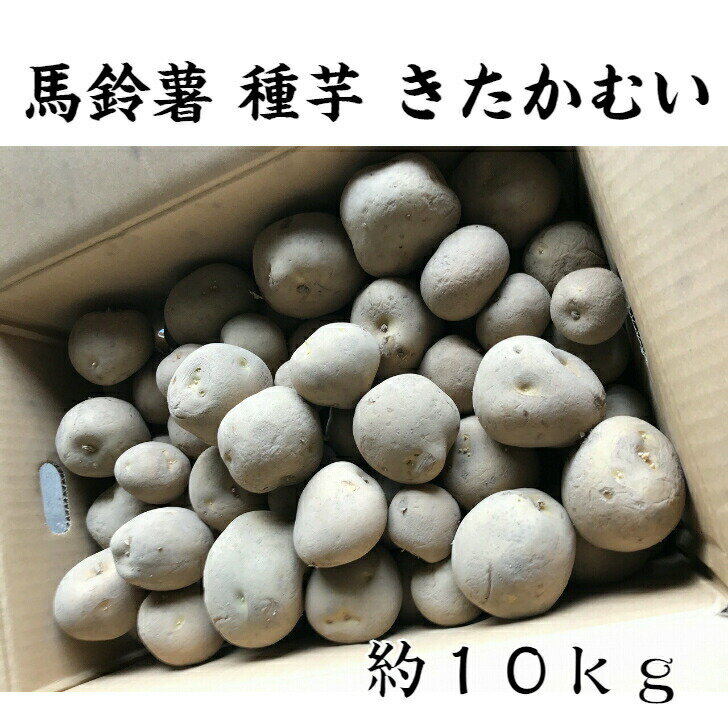 楽天市場】じゃがいも 種芋 10kg（ガーデニング・農業｜花・ガーデン