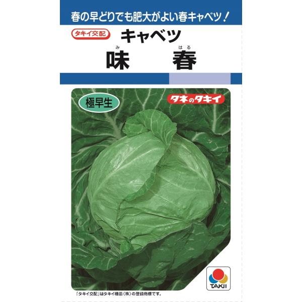 タキイ交配　キャベツ　味春　DF1.2ml　野菜のタネ