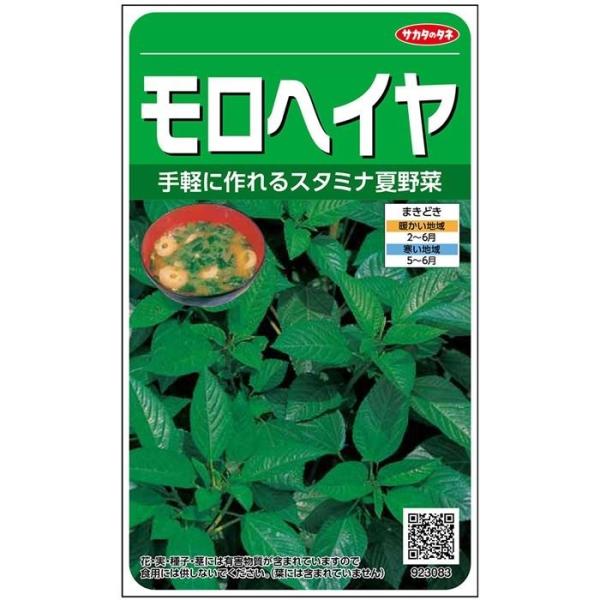 サカタ交配　モロヘイヤ　約200粒　実咲野菜