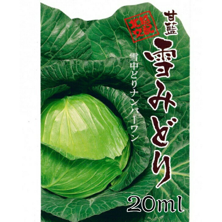 北越交配 キャベツ 雪みどり 20ml　野菜タネ 北越農事 野菜種子 野菜のタネ 甘藍