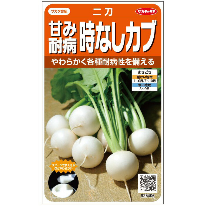 サカタのタネ 甘み耐病時なしカブ二刀 約800粒 実咲野菜タネ 根菜 種子 カブ やわらか食感