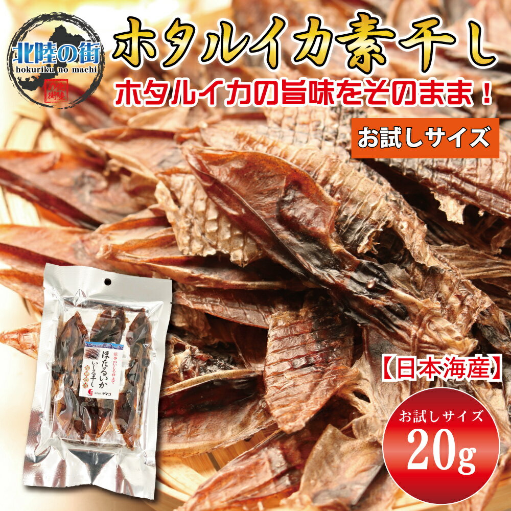 ホタルイカ 素干し (20g) お試しサイズ おつまみ ほたるいか おやつ 干物 珍味 晩酌 ギフト 日本海産 無添加食品 美味しい お試し 産地 ビール 父の日 酒の肴 海鮮 お花見 宴会 送別会 歓迎会 北陸応援 送料無料