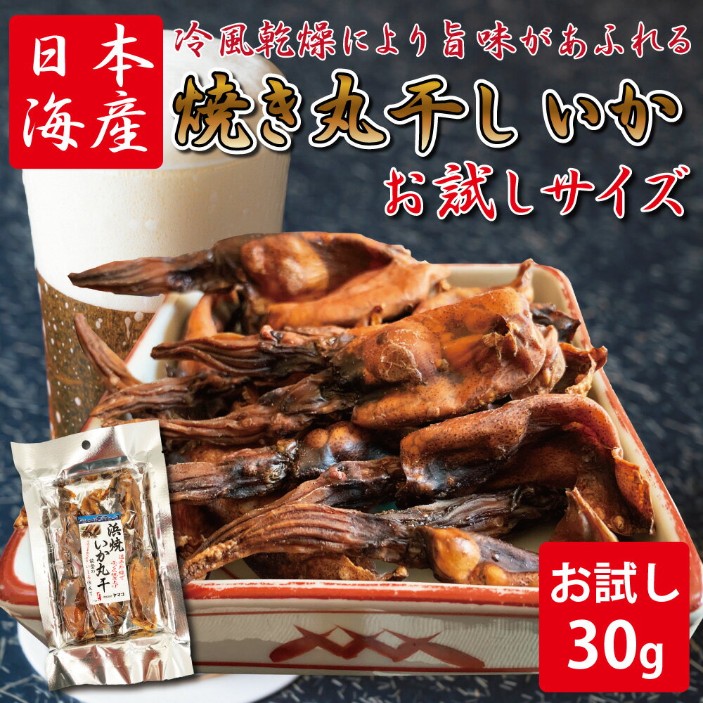 おつまみ 肝入り 焼き丸干しいか 【 肝入り 焼き丸干いか 30g 】 お試しサイズ 干物 珍味 焼き ワタ入り 一口サイズ おつまみ 美味しい 産地 父の日 酒の肴 海鮮 お花見 宴会 送別会 歓迎会 北陸応援