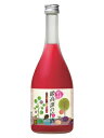 鍛高譚の梅酒 720ml 6本(1ケース) 宅配100サイズ