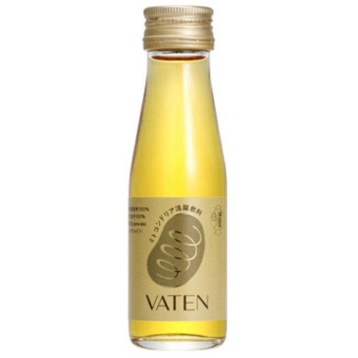 福光屋 VATEN (バテン) 100ml 30個（1ケース） 宅配100サイズ