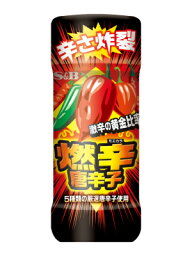 エスビー食品 燃辛唐辛子 45g 10個（2ケース） 宅配60サイズ