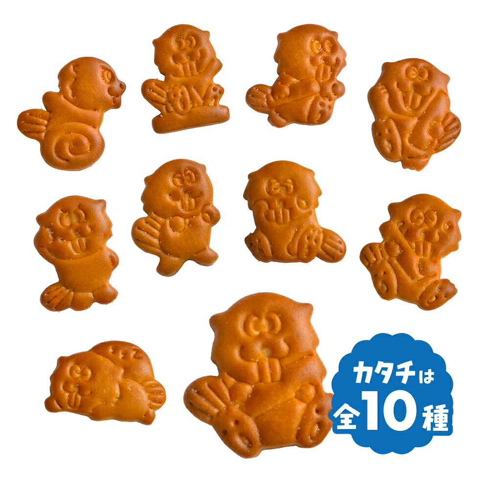 北陸製菓 ビーバーぶち揚げビスケット 80g 20袋（1ケース） 宅配100サイズ お菓子 ...