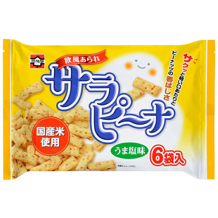 浪花屋 サラピーナ 6袋入 12個（1ケース） 宅配100サイズ