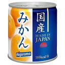 【S】はごろもフーズ 国産みかん 295g 24個(1ケース)宅配100サイズ