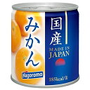 はごろもフーズ 国産みかん 295g 24個（1ケース）宅配