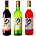 のとわいん醸造 各種 720ml 選んで12本 【能登ワイン】 宅配120サイズ