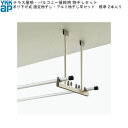 テラス屋根・バルコニー屋根用セット 吊り下げ式 固定:アルミ物干し竿セット 2本入 標準 ロング