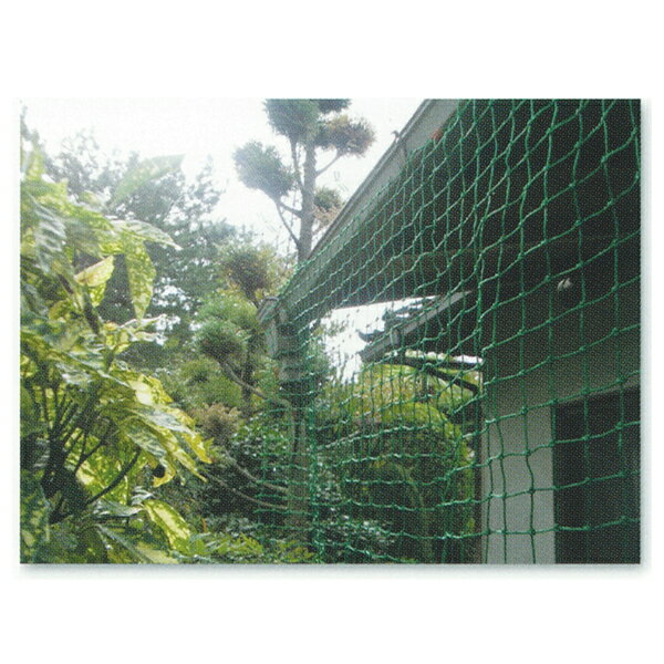 �����Ѷ��� �ݥꥨ����󥬡��ɥͥåȡ�37mm�ܡ����꡼��1m��30m�ڳ����к���