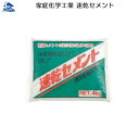リフォーム用品 接着・テープ・清掃・補修 補修材 屋外の補修:家庭化学工業 速乾セメント 4kg