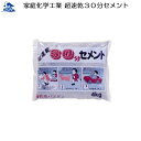 リフォーム用品 接着・テープ・清掃・補修 補修材 屋外の補修:家庭化学工業 超速乾セメント 4kg