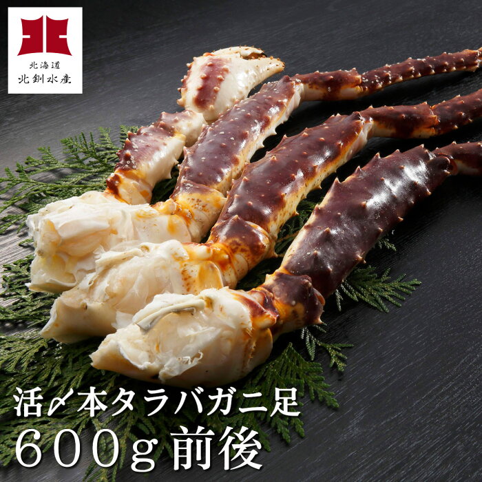 活〆本タラバガニ足600g前後（急速冷凍）【A】