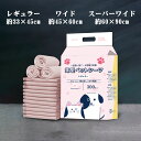 ペットシーツ 多頭飼い 大容量 犬 猫 トイレ ペット用 シーツ 薄型 猫 犬 トイレシート トイレシーツ まとめ買い 業務用 ペット用 犬 トイレシート レギ...