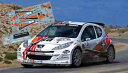 yzzr[@͌^ԁ@ԁ@[VOJ[ fJ[vW[[|gTgCdecals 143 peugeot 207 s2000 2 vsa rallye porto santo line 2011 ncm018