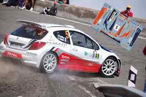 ホビー　模型車　車　レーシングカー デカールプジョー＃カナリアラリーdecals 143 peugeot 207 s2000 5 bouffier rallye irc des canaries 2011 ncm020