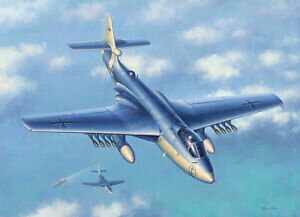 ̵ۥۥӡϷ֡֡졼󥰥 ۡhobbyboss 87252 172 seahawk mk100101 neuf