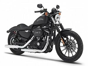 ホビー　模型車　車　レーシングカー オートバイハーレーダビッドソンモデルmaisto modele reduit de moto miniature harley davidson 2014 sportster iron 883