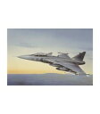 【送料無料】ホビー 模型車 車 レーシングカー キットjas 39 a gripen kit 148