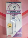 【送料無料】ホビー　模型車　車　レーシングカー モデルスケルトンanatomia humana man anatomy model humanlab skeleton