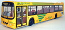 efe badgerline wright dennis lance 29803デニスランス※注意※NYからの配送になりますので2週間前後お時間をいただきます。人気の商品は在庫が無い場合がございます。ご了承くださいませ。サイズの種類の商品は購入時の備考欄にご希望のサイズをご記載ください。　携帯メールでの登録ですと楽天からのメールが届かない場合がございます。