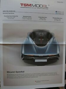 【送料無料】ホビー　模型車　車　レーシングカー スケールモデルページパンフレットモデルtsm echelle..