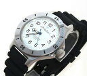 【送料無料】腕時計 ボストークアンフィビアダイバーウォッチオロオロジョルッソvostok amphibia diver watch orologio russo 120813