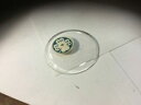 【送料無料】腕時計 ヴェールドモントルコックverre de montre a coq 44,3mm(2)