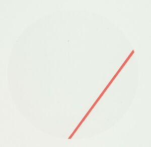 【送料無料】腕時計　オーデマピゲウォッチレッドラインビニールケースバックステッカー