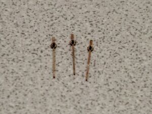 【送料無料】腕時計　ヴィンテージベストフィットホールレッドセンタースイープハンド3 vintage bestfit hole 16 red center sweep hands