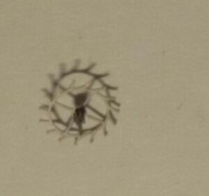 【送料無料】腕時計　アンカーラッドパートiwc cal 83 ankerrad part 705