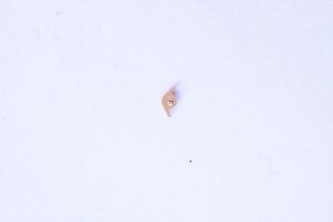 【送料無料】腕時計 ヴァシュロンコンスタンタンクリエダレットストップクリッククリッコダシュラスト