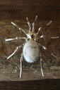 yzWG[EANZT[ iozVo[}bVuzCgnECgXpC_[u[`y_goCXyT[navajo argent massif blanc howlite spider broche pendentif par spencer