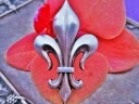 yzWG[EANZT[ tXAeB[Nu[`broche ancienne fleur de lys metal argente 19eme siecle france antique brooch fl