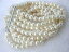 【送料無料】ジュエリー・アクセサリー ブレスレットインチ 8 rows 67mm white fresh water pearl bracelet 75 inch