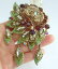 ̵ۥ奨꡼꡼ ˡ֥饦饤󥹥ȡ󥯥ꥹեǥ֥ԥunique 394 brown rhinestone crystal flower daisy brooch pin pendant 06454c3