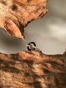 【送料無料】ジュエリー・アクセサリー シルバーリングセラミックスサイズプランmagnifique bague argent et ceramique taille 57 prevoir restauration(4)