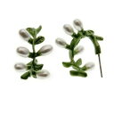 boucles doreilles creole branche fleur vert perle blanc dd14イヤリングクレオールブランチグリーンフラワーパールパールパール※注意※NYからの配送になりますので2週間前後お時間をいただきます。人気の商品は在庫が無い場合がございます。ご了承くださいませ。サイズの種類の商品は購入時の備考欄にご希望のサイズをご記載ください。　携帯メールでの登録ですと楽天からのメールが届かない場合がございます。