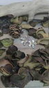 【送料無料】ジュエリー・アクセサリー アルジェントアフィオーレオレッキーニペンデンティドンナorecchini pendenti donna in argento 925 a fiore(4)