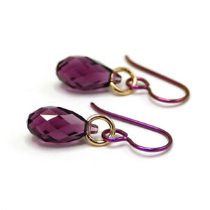 【送料無料】ジュエリー・アクセサリー チタンブラケットイヤリングアメジストクリスタルドロップニオブalternativa a titanio staffa orecchini gocce di cristallo ametista niobio