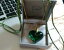 ̵ۥ奨꡼꡼ åܥåӥåϡȥ꡼lalique grande cuore fab verde con catena placcata e barra multifunzione