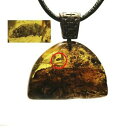 【送料無料】ジュエリー・アクセサリー アンバーペンダントバルトinsect inclusion, amber pendant insect inclusion, old baltic amber insect stone(4)