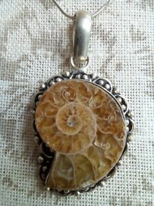 【送料無料】ジュエリー・アクセサリー アンモマイトペンダントチェーンbellissimo ciondolo ammonite, catena incluso gratis pamp;p